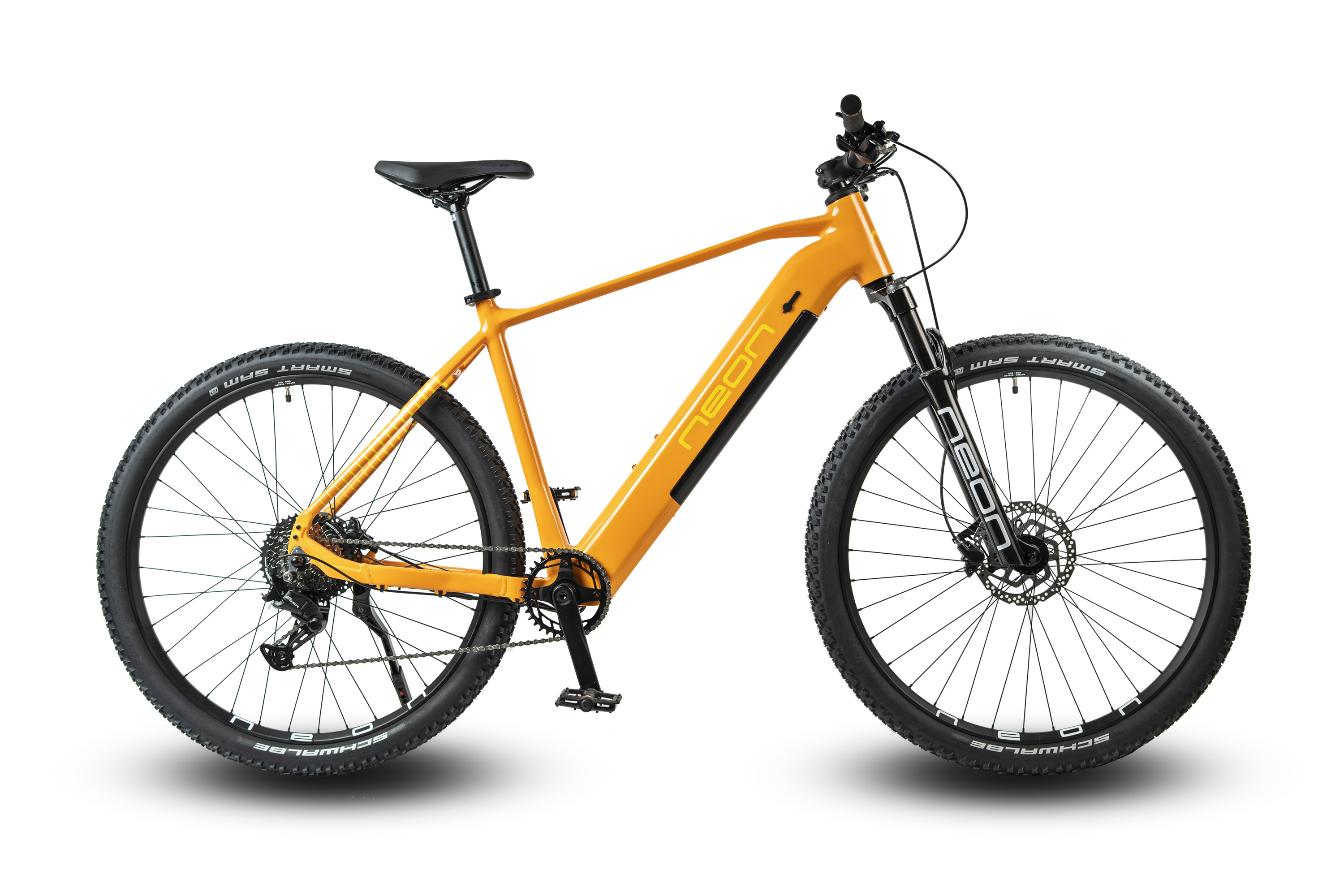 BEAM 2.0CARROT PARROT